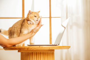 Before/after image 1