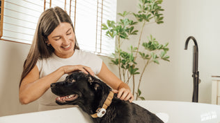 Before/after image 2