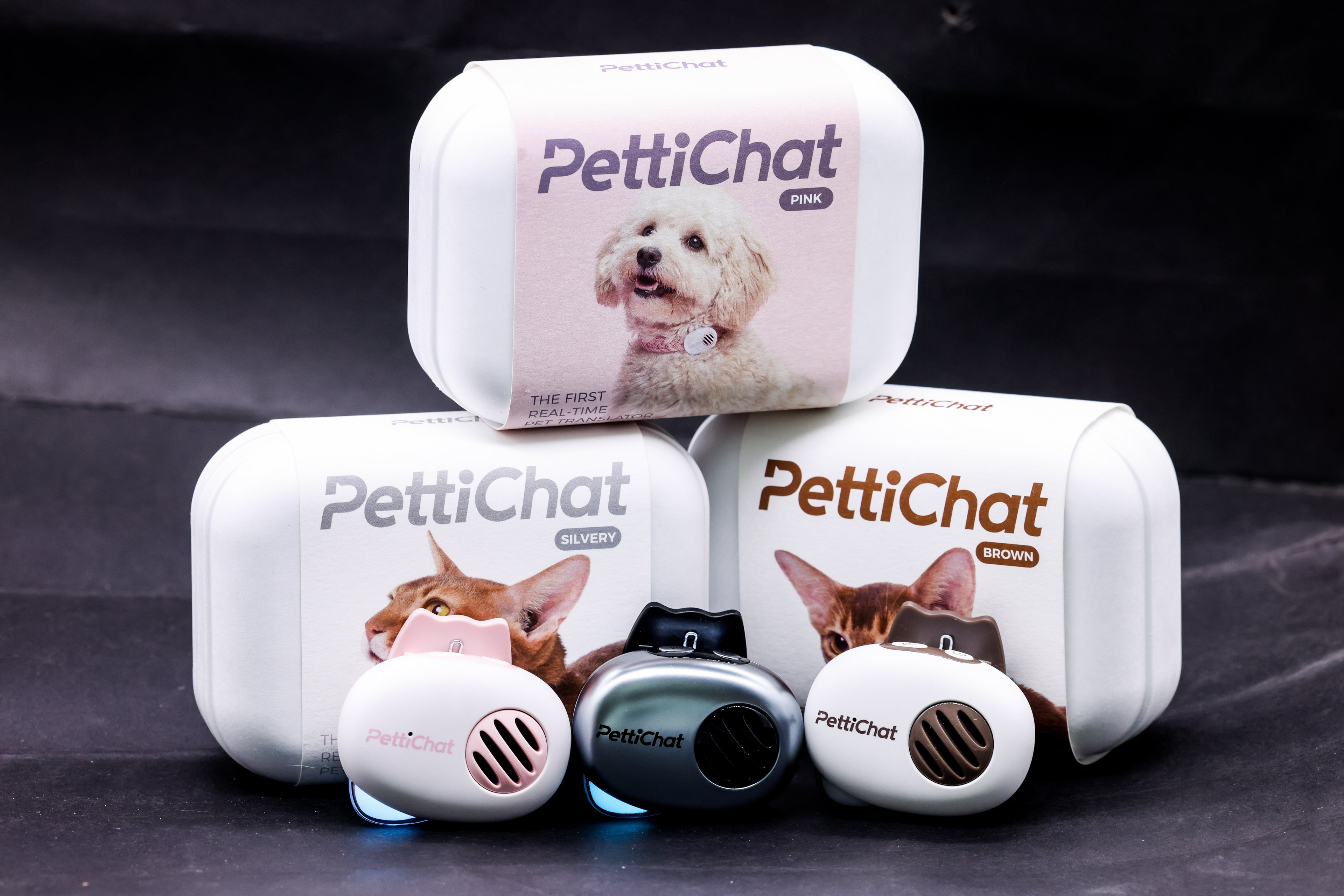 pettichat