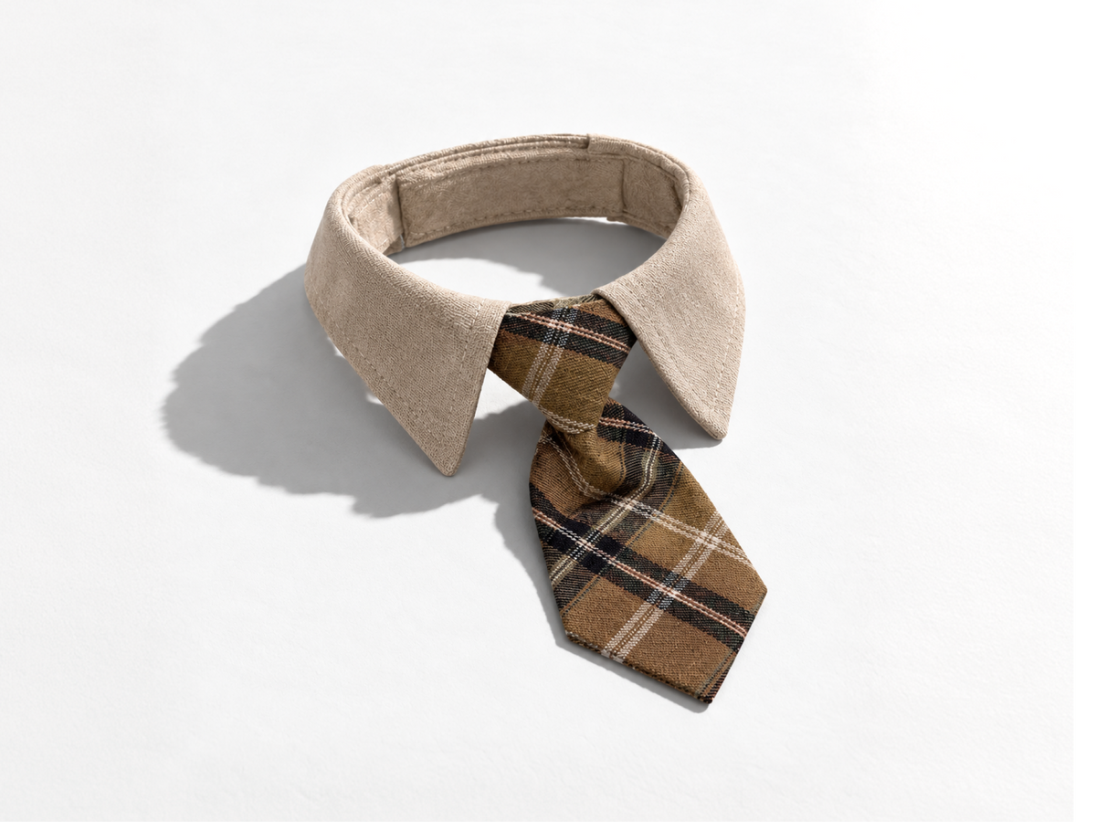 PettiChat Collar
