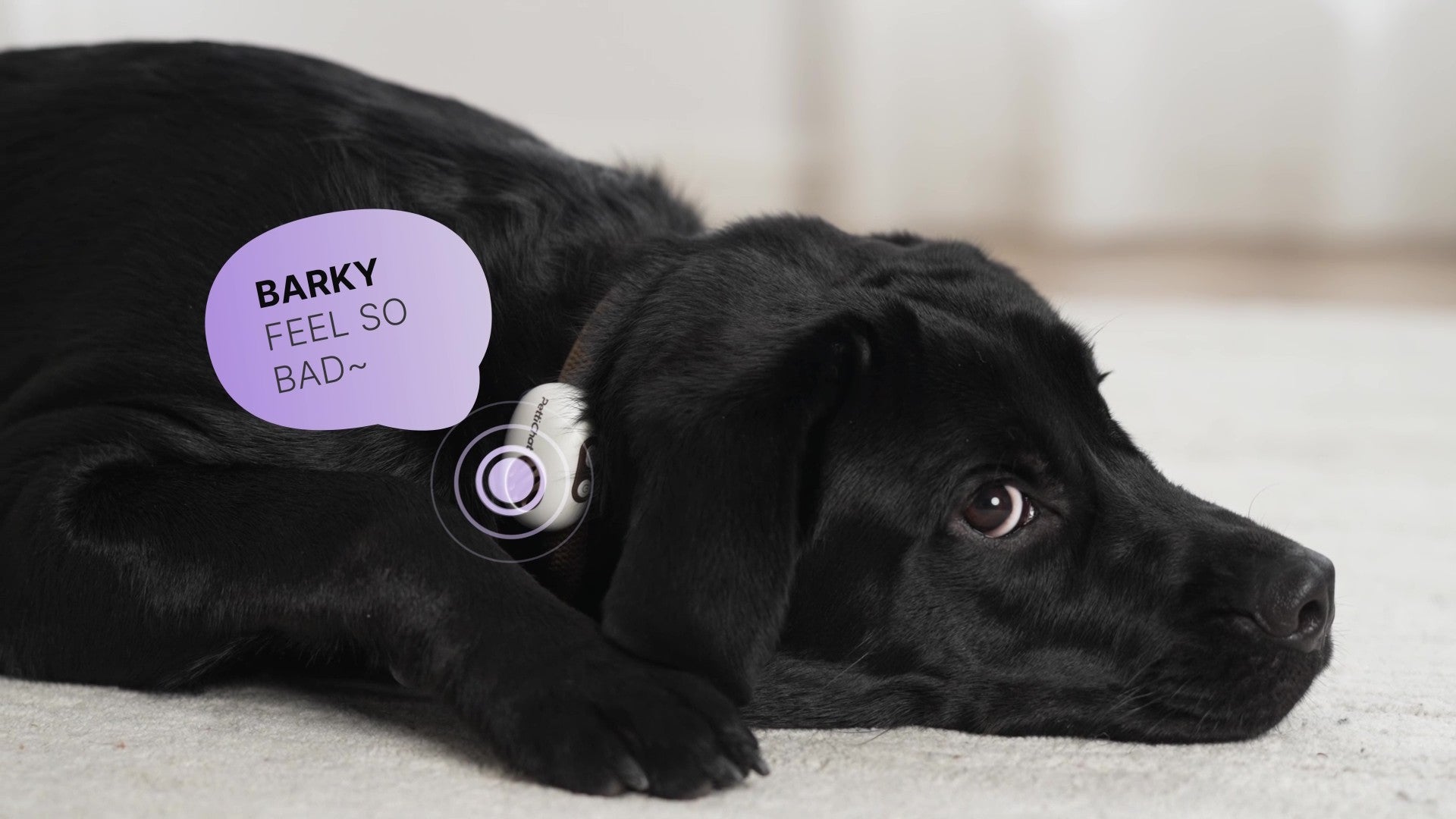 Featured banner image 