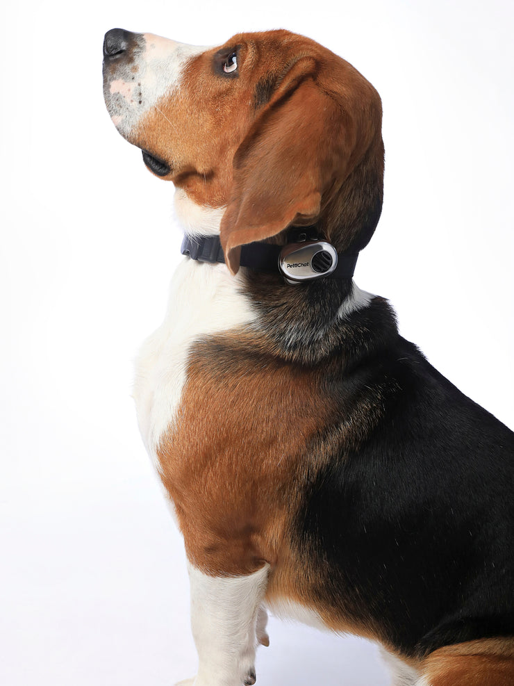 Love Begins With Understanding