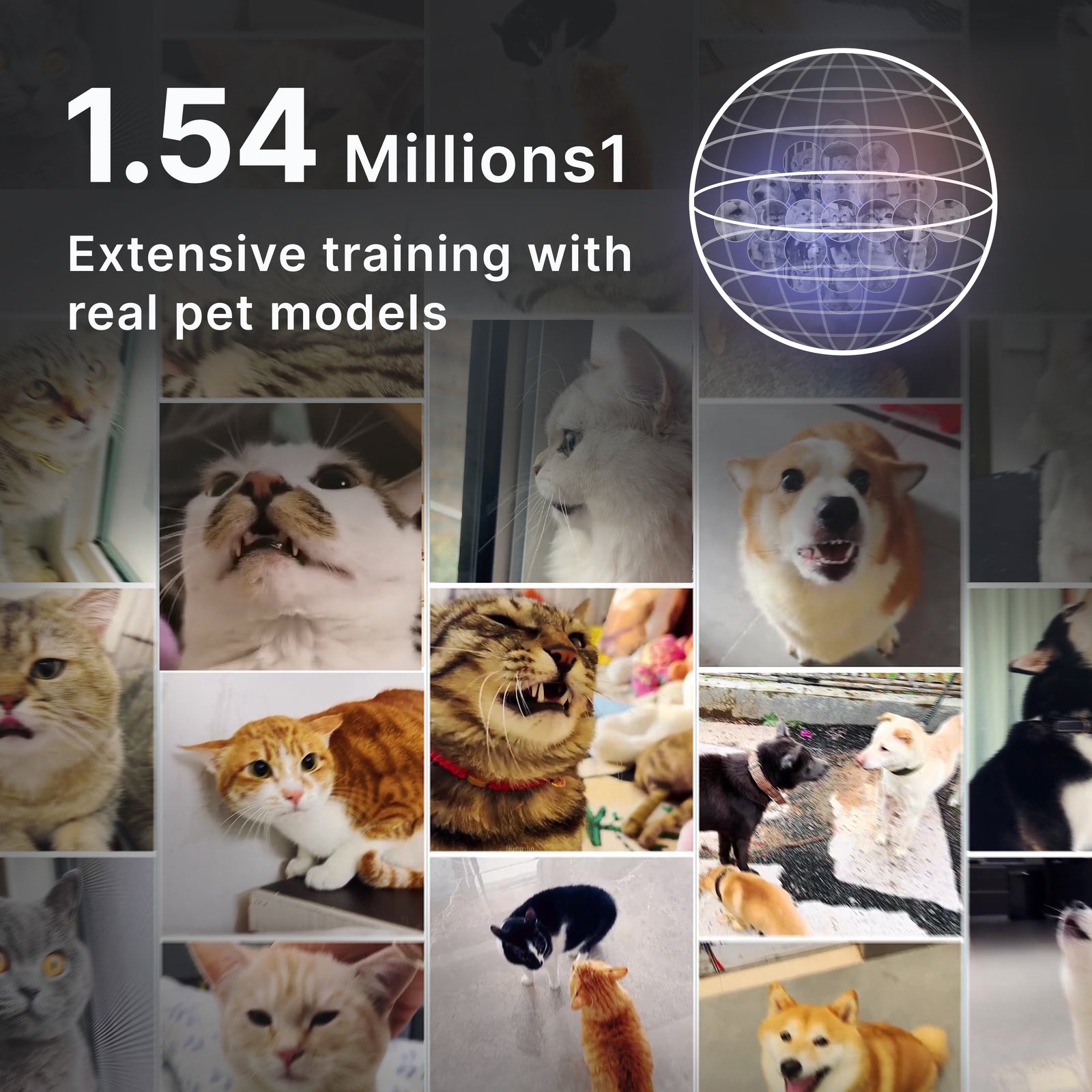 Human and pet interaction with PettiChat