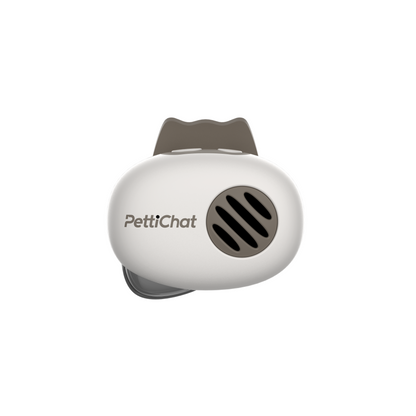 PettiChat