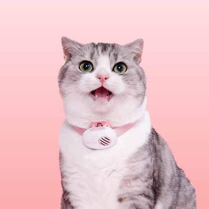 PettiChat