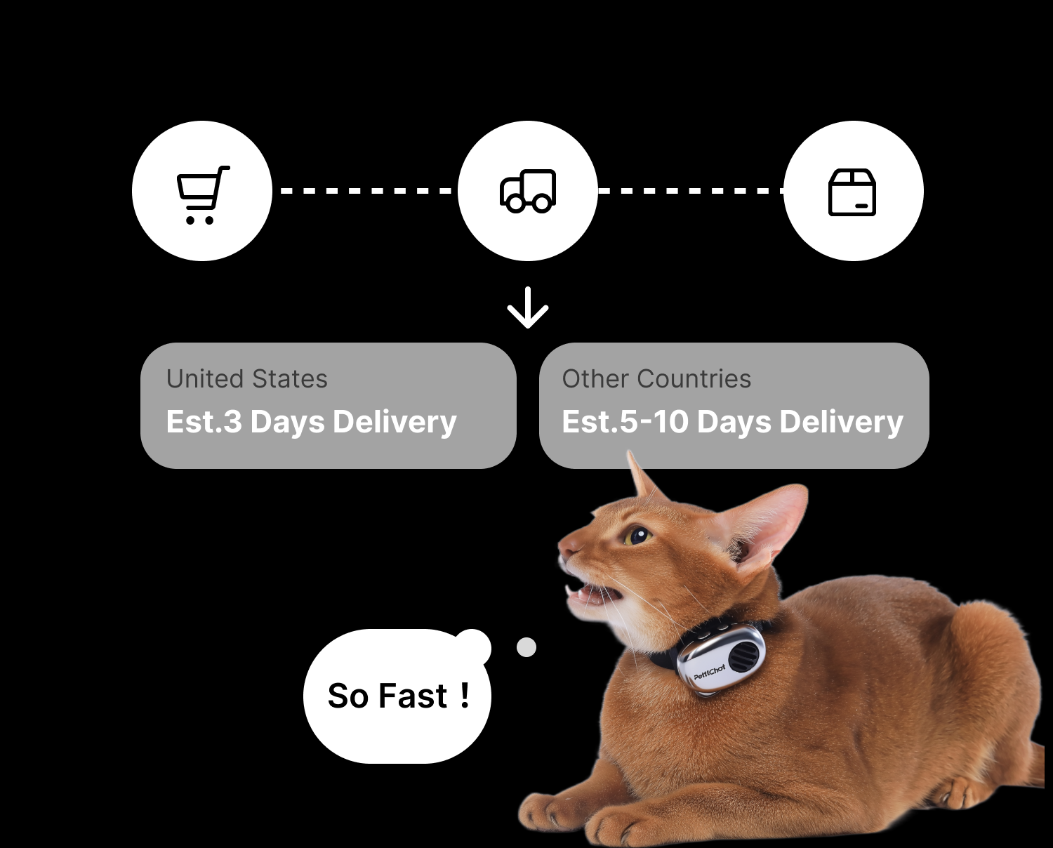 PettiChat worldwide shipping regions and estimated delivery times