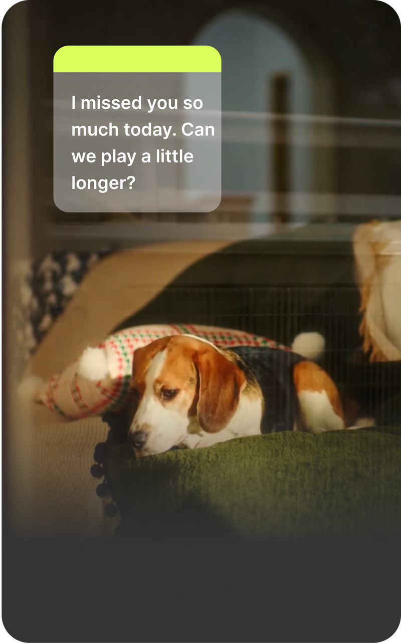 AI pet diary