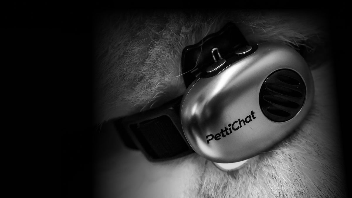 PettiChat product view