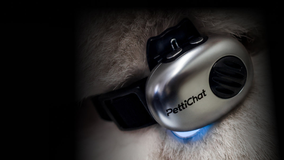 PettiChat product and app